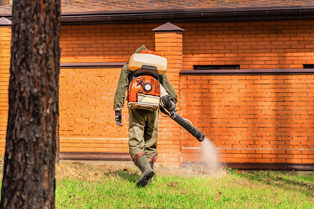 Bed Bug Clearance Verification and Documentation in Glyndon